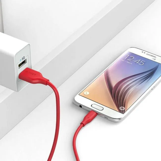 Anker PowerLine 3ft Micro USB Cable