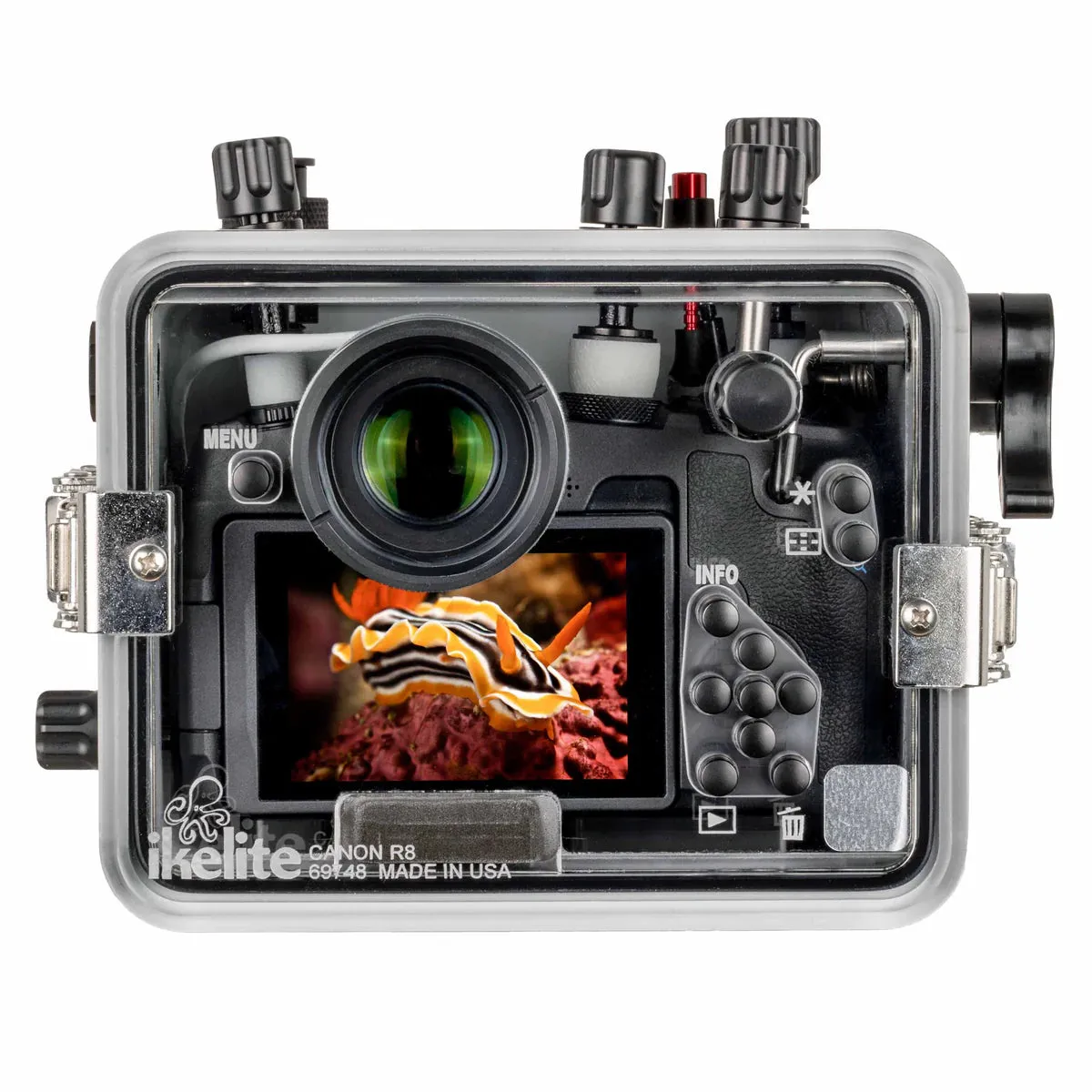 Ikelite CANON EOS R8 Dive HOUSING