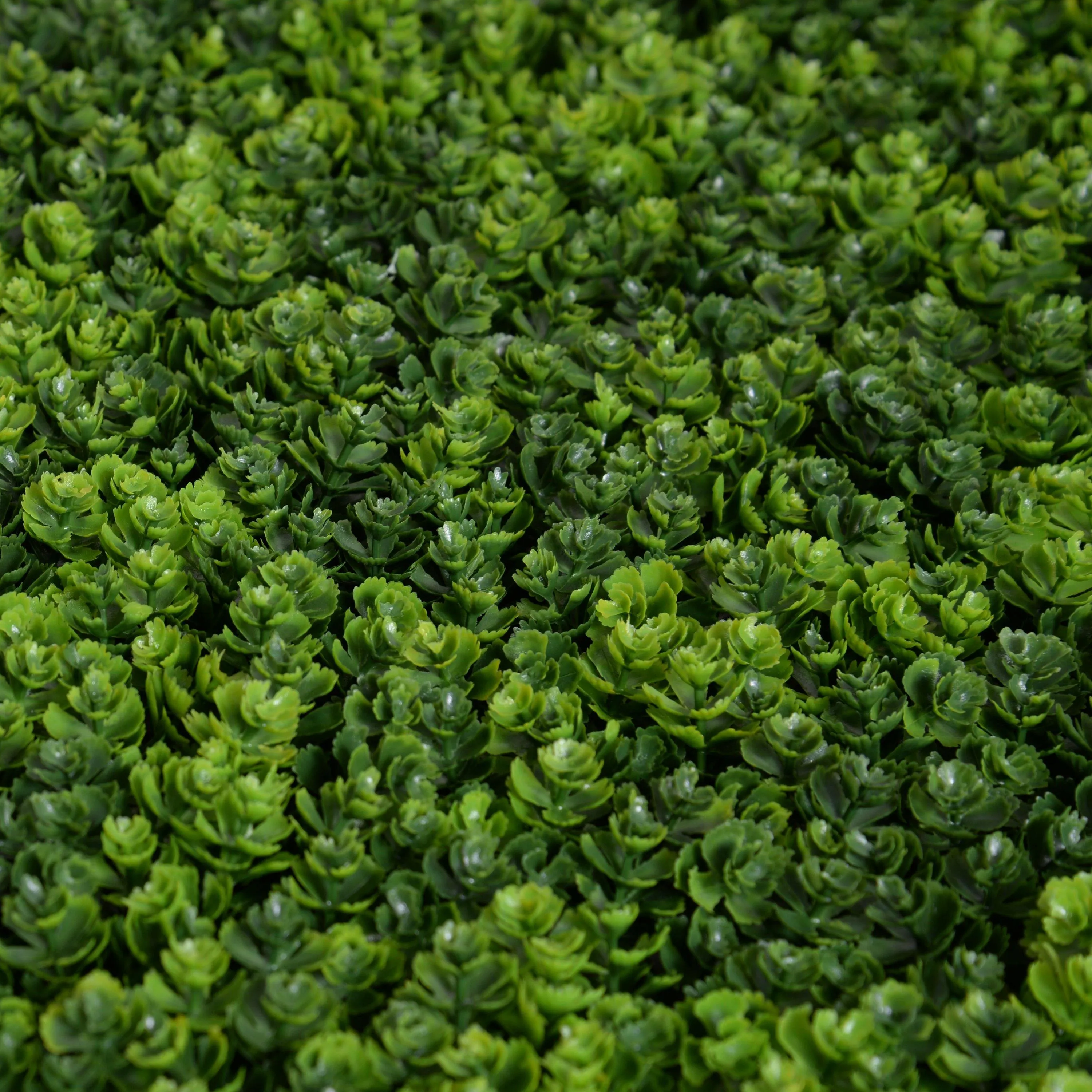 Sedum 21" Panel - Two Tone Green