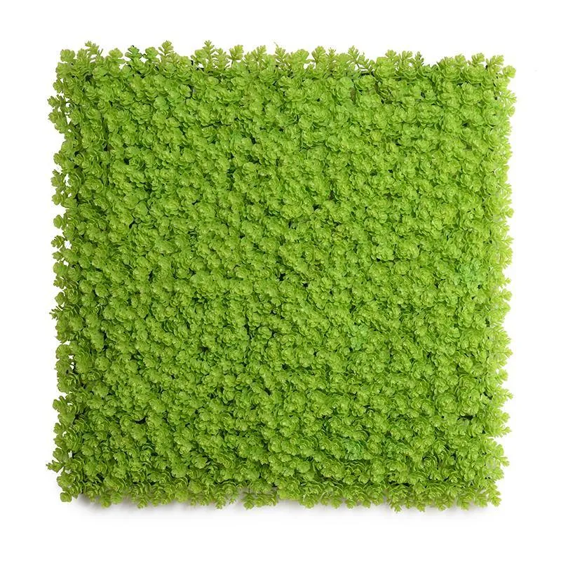 Sedum Panel 21" - Light Green